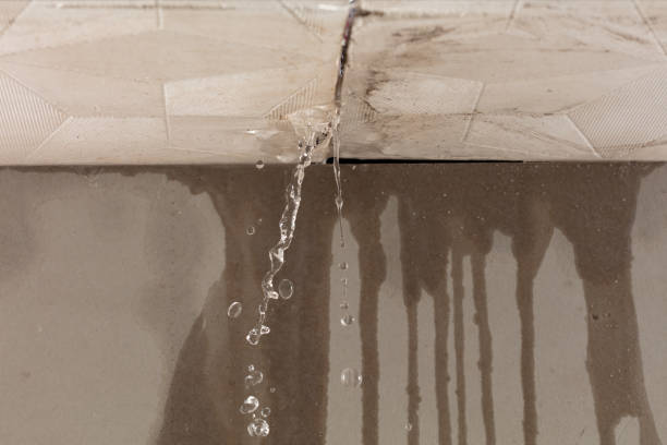 Professional Water Damage Repair technician working in Henderson, MI